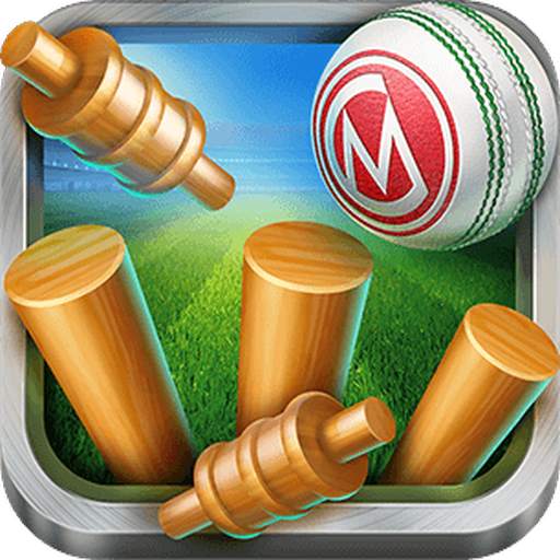 Cricket World Cup 1.1