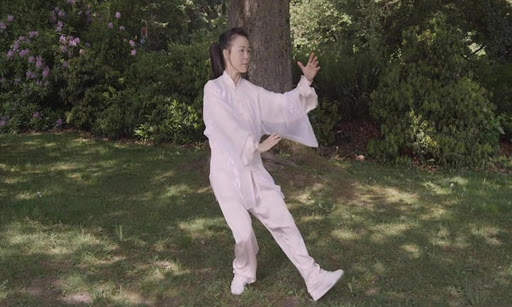 Tai Chi for Beginners - 48 Form (YMAA) screenshot 14