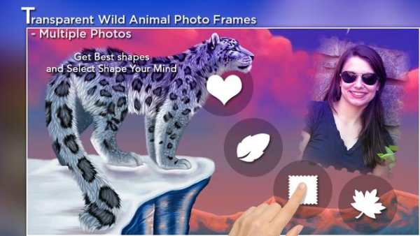 Transparent Wild Animal Photo Frame - Multi Photos screenshot 1