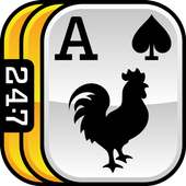 247 Solitaire