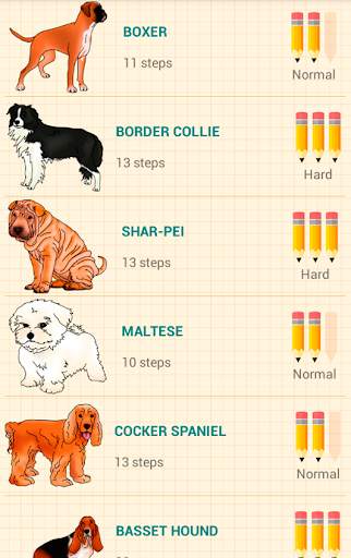 How to Draw Dogs скриншот 2