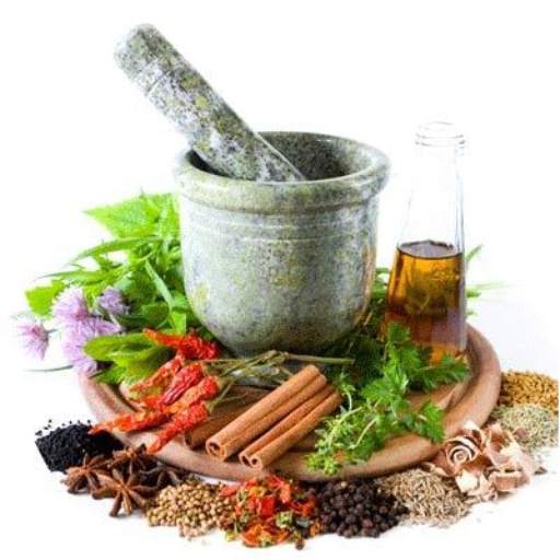 الأعشاب الطبية المفيدة 1.9
