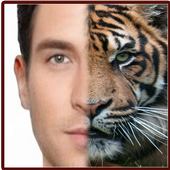 Photo Mix icon