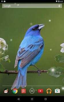 Spring Birds screenshot 14