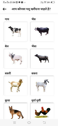PashuMandi, Tractor Mandi, Agriculture Tools Mandi screenshot 2