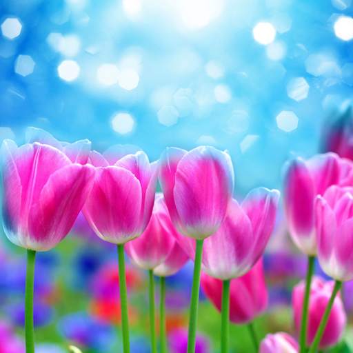 Spring Flower Live Wallpaper 1.0.6