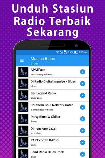 blues musik offline gratis screenshot 1