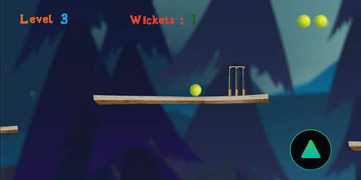 Cricket Ball : New Cricket Game screenshot 3