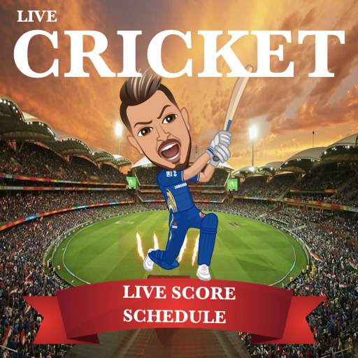 Indian Cricket Premier League 2020 2.7