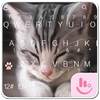 Cats Keyboard Theme 6.6.23.2019