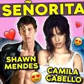 Senorita Song with Lyrics Shawn Mendes Offline on 9Apps
