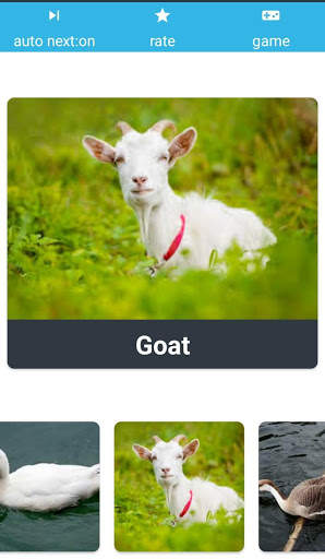Animal Sounds Learn With Game screenshot 6