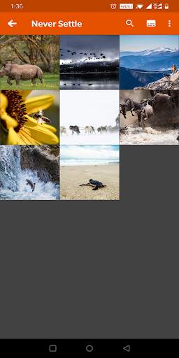 Lite Gallery screenshot 1
