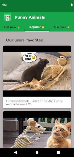 Funny Animal Videos screenshot 3