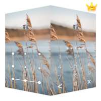 AppLock Live Theme Reeds – Paid Theme logo
