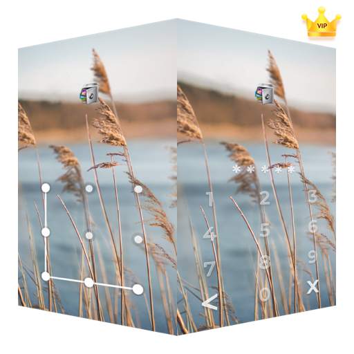 AppLock Live Theme Reeds – Paid Theme 1.0