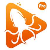 ZSEDTRFUL icon