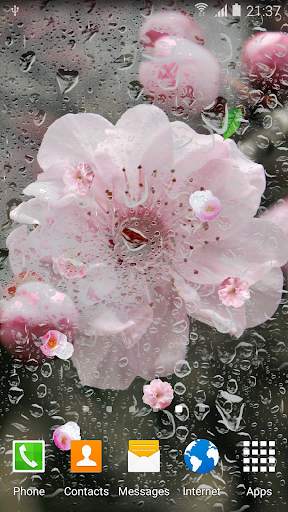 Cherry Blossom Live Wallpaper screenshot 5
