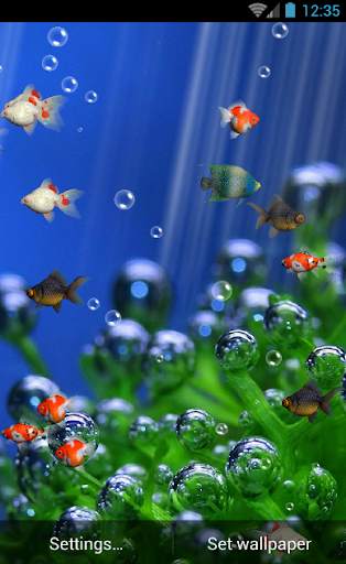Aquarium Live Wallpaper screenshot 4