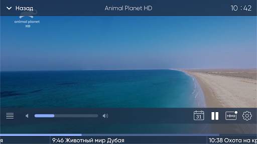 Almatel TV screenshot 6