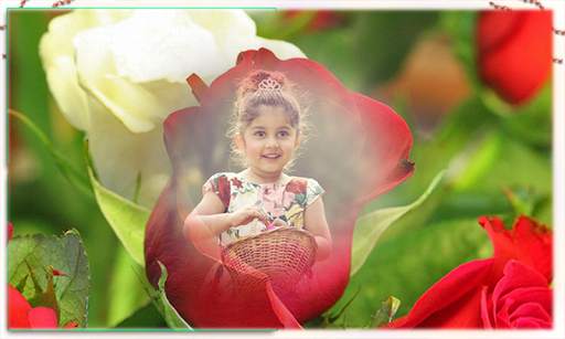 Rose HD Photo Frame screenshot 4