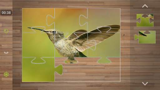 Bird Puzzle Games screenshot 3