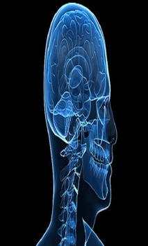 Xray Scanner screenshot 5