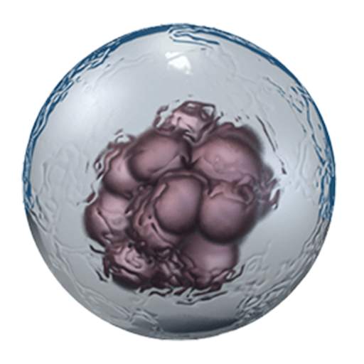 Microbe Live Wallpaper 1.2.4