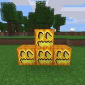 Worldcraft Survival