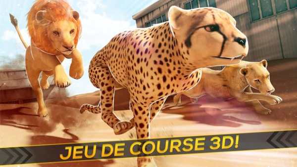 Léopards contre Lions! screenshot 7