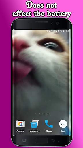 Cat Lick Screen Live Wallpaper screenshot 4