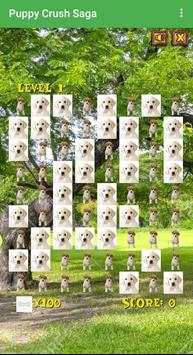 Puppy Crush Saga screenshot 3