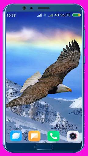 Eagle Wallpaper Best 4K screenshot 2