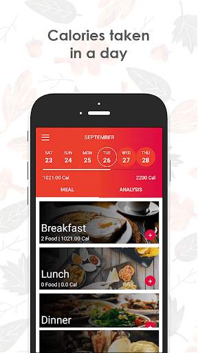 Daily Calories Counter screenshot 1