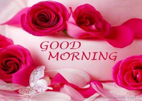 Good Morning Images Gif Animated Flower  Roses 4K screenshot 6