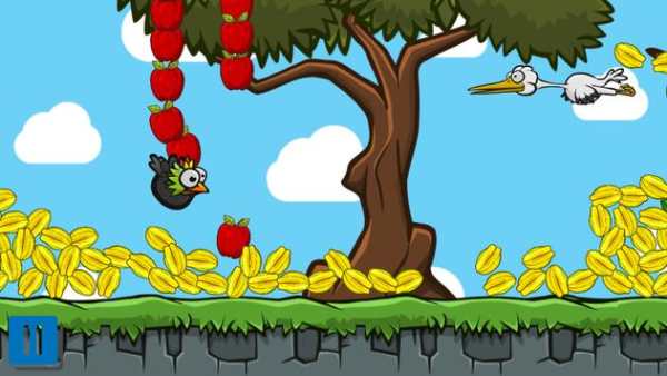 BulBul Bird screenshot 3