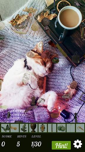 Hidden Object - Travelling Pets screenshot 2