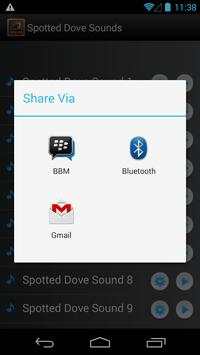 Spotted Dove Bird Sounds screenshot 4
