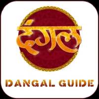 Dangal Channel HDTV Guide 2022