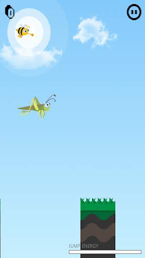 Crazy Cricket screenshot 4