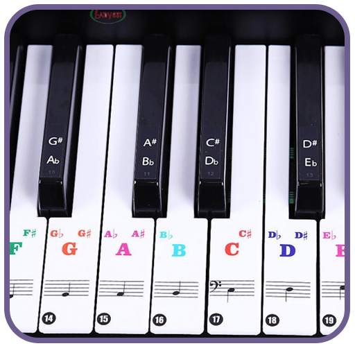 Piano Keyboard Real - Learn & Play Piano Music 1.13