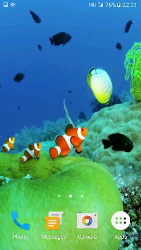 Sea Life 3D Video Wallpaper screenshot 1
