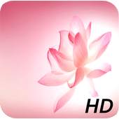 HD Huawei P10 Wallpaper 1.05