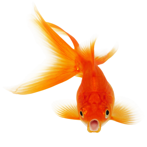 Fish Fire icon