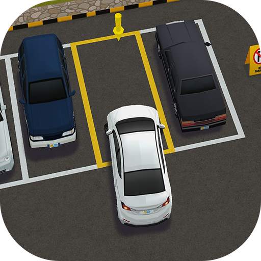 Parking Live 21