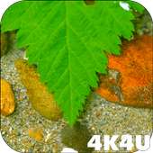 4K Zen Water Meditation Video Live Wallpaper icon