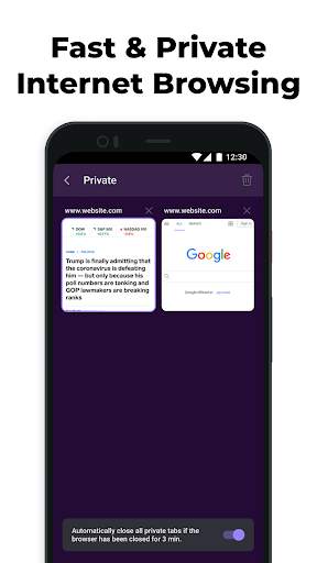 Wize Browser Fast Money screenshot 4