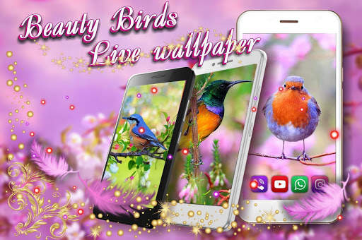 Beauty Birds स्क्रीनशॉट 7