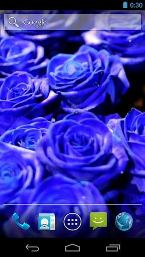 Blue Rose Live Wallpaper screenshot 4