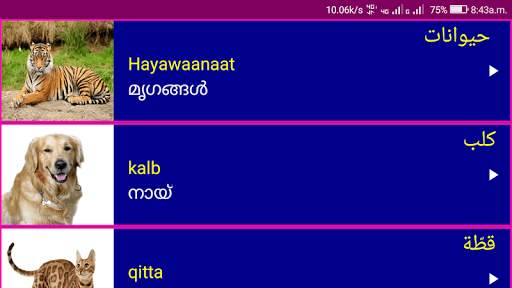 Learn Arabic From Malayalam screenshot 12